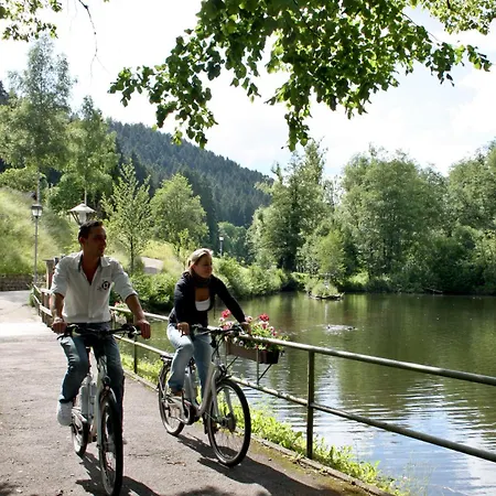 Hotell Roessle Berneck 3*