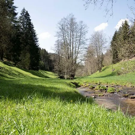 Roessle Berneck Hotell