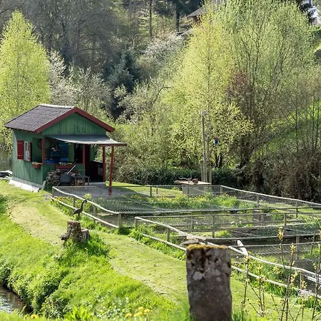 Roessle Berneck Hotell Altensteig