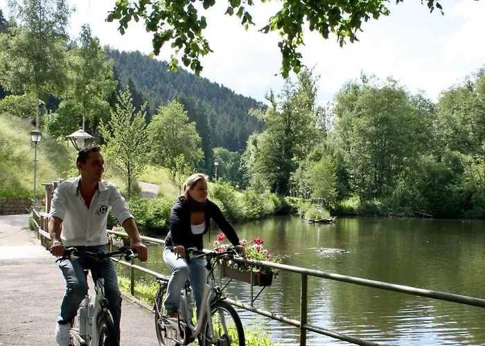 Ξενοδοχείο Roessle Berneck 3*