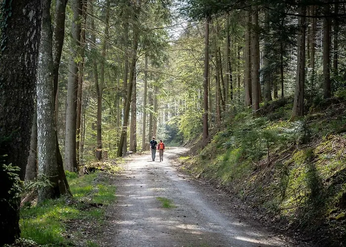Rössle Berneck Hotel Altensteig
